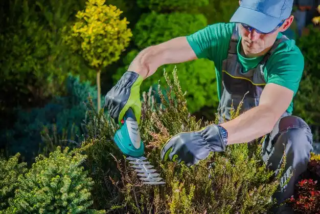 landscaping services Youngstown